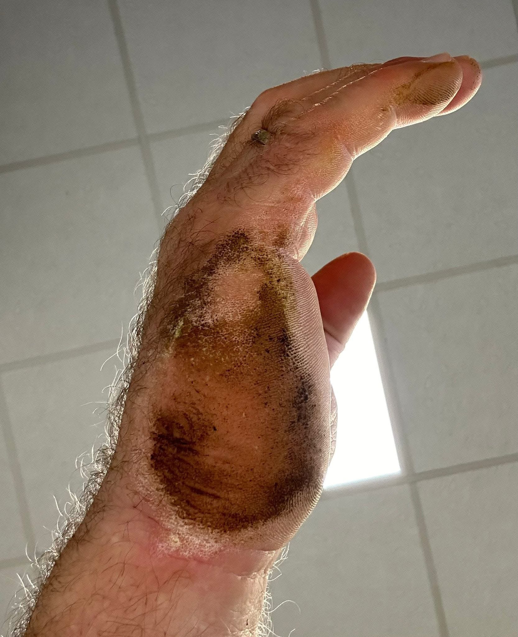 Mr. Hammerhand – Die Hammerhand